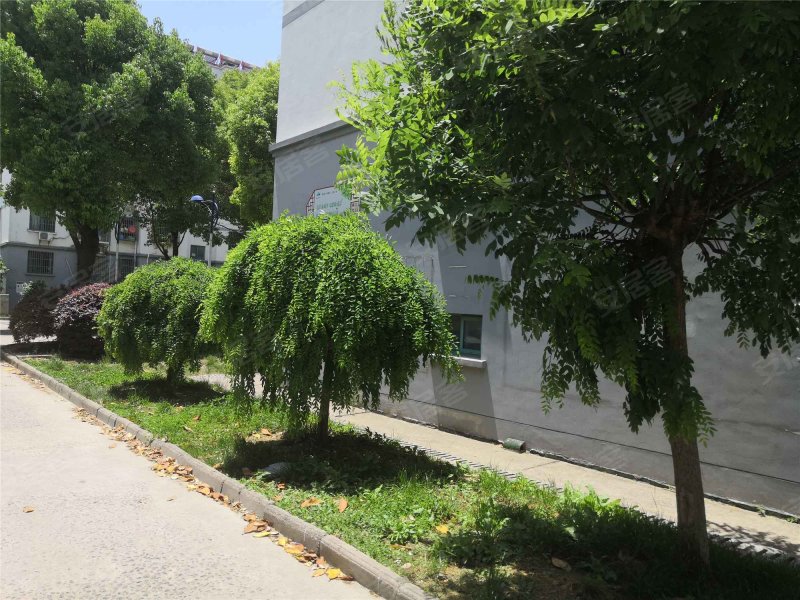 紫金花苑