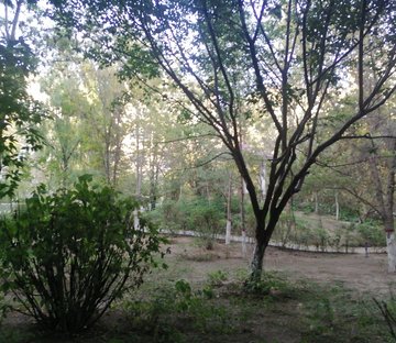 锦绣江南小镇西院