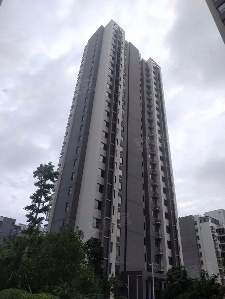 金泰华城,北园路399号-临沂金泰华城二手房,租房,房价-临沂安居客