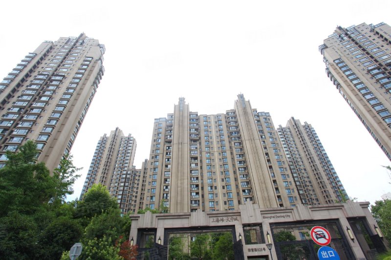 上海滩大宁城(别墅)