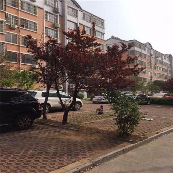 学府嘉园,佛光路-泰安学府嘉园二手房,租房,房价-泰安安居客