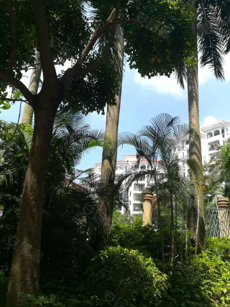 锦绣香江紫荆园