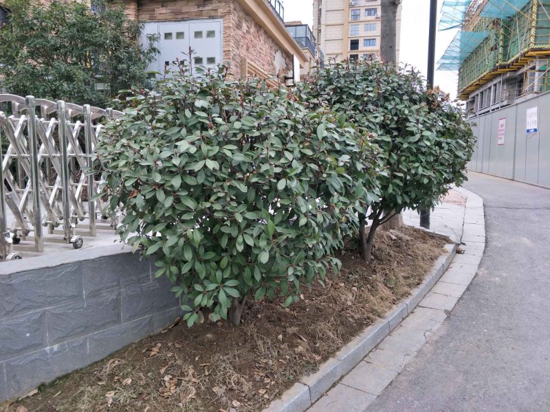 江山一品,洪泽湖东路-宿迁江山一品二手房,租房,房价-宿迁安居客