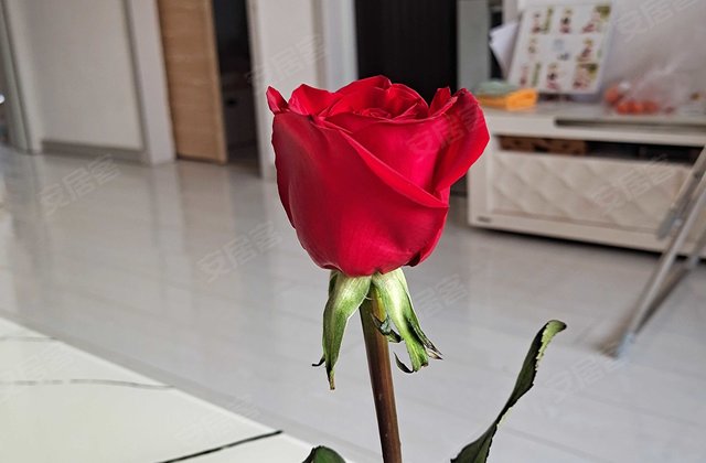 冷库小区2室1厅69㎡13.8万二手房图片