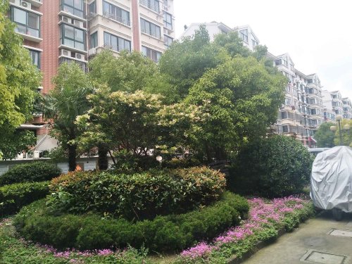 银都花园,人民东路10号 - 射阳银都花园二手房,租房,房价-射阳安居客