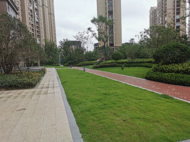 阳光臻蓝府,庐山路,近漓江路 - 漯河阳光臻蓝府二手房,租房,房价-漯河