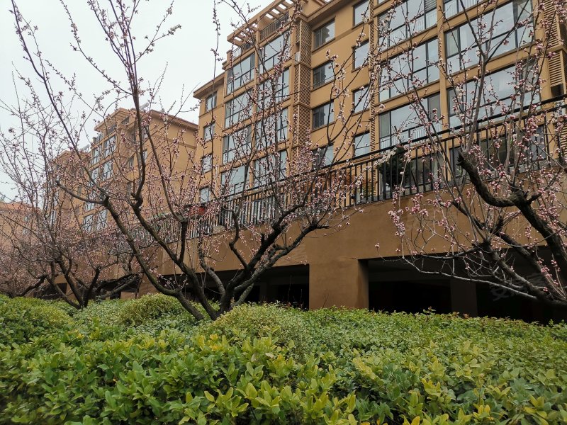 金帝桂都,青山中路-威海金帝桂都二手房,租房,房价-威海安居客