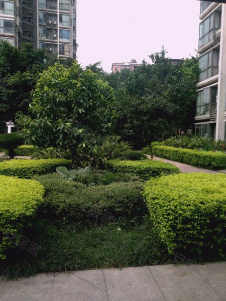 星月湾,大黄路168号-重庆星月湾二手房,租房,房价-重庆安居客