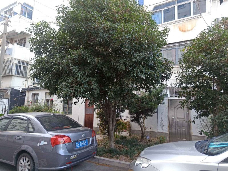 南市街42弄小区 