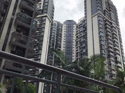 大浪小区图片