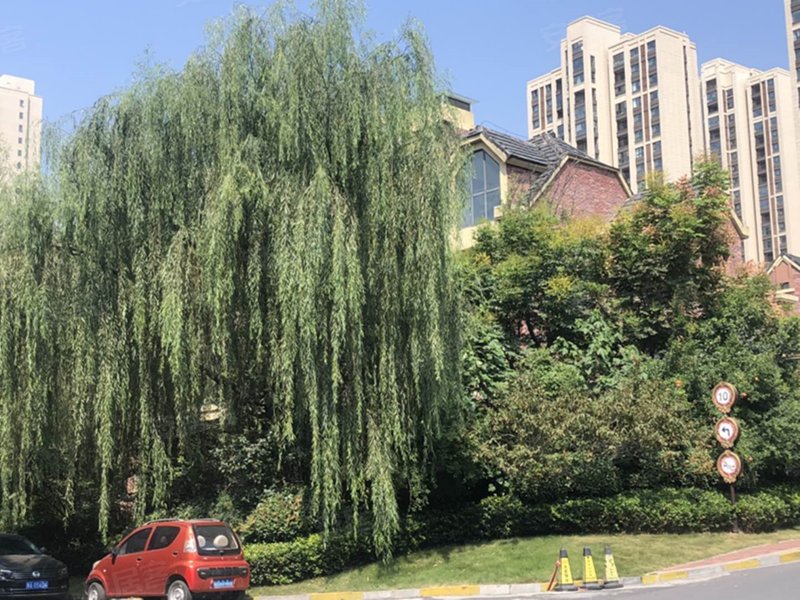 森林半岛(南区别墅),一大街-开封森林半岛(南区别墅)二手房,租房,房价