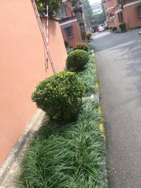 和平街150弄小区 