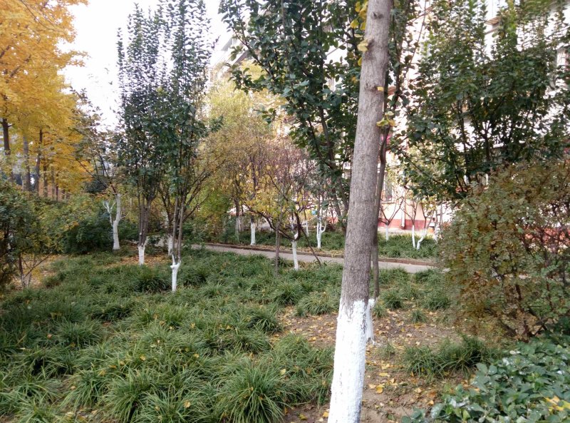 万树园,厢黄旗路-北京万树园二手房,租房,房价-北京安居客