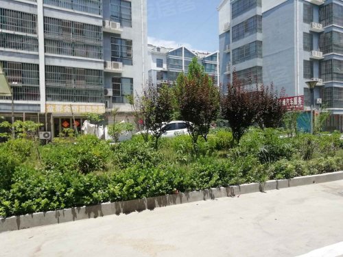 金都豪庭,胜利街 - 郓城金都豪庭二手房,租房,房价-郓城安居客