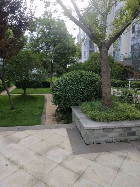 金泰华城,北园路399号-临沂金泰华城二手房,租房,房价-临沂安居客