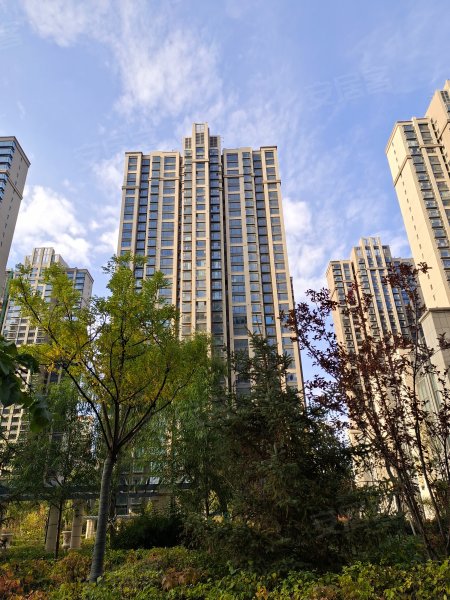 紫御澜庭,宁张路141号-西宁紫御澜庭二手房,租房,房价-西宁安居客