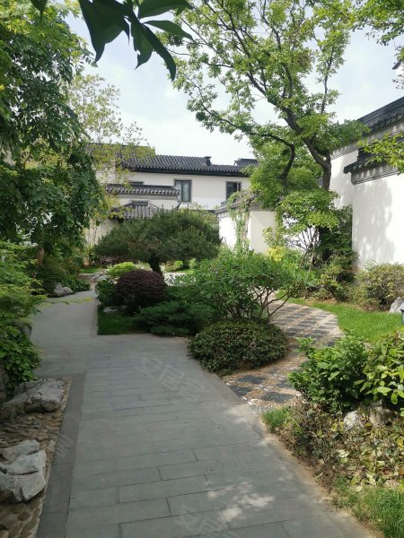 绿城紫薇公馆(别墅),金山南路-徐州绿城紫薇公馆(别墅)二手房,租房