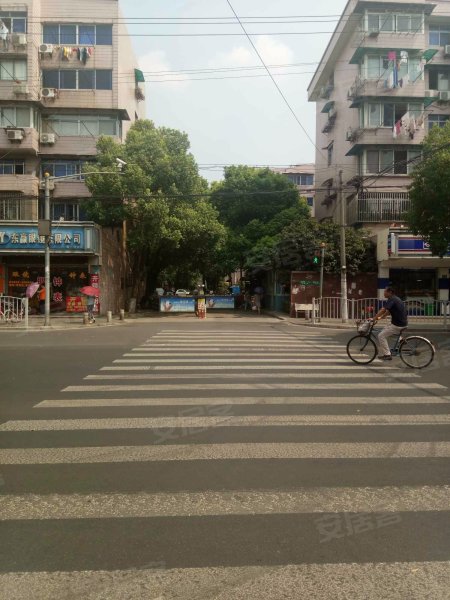 环镇北路323弄小区 