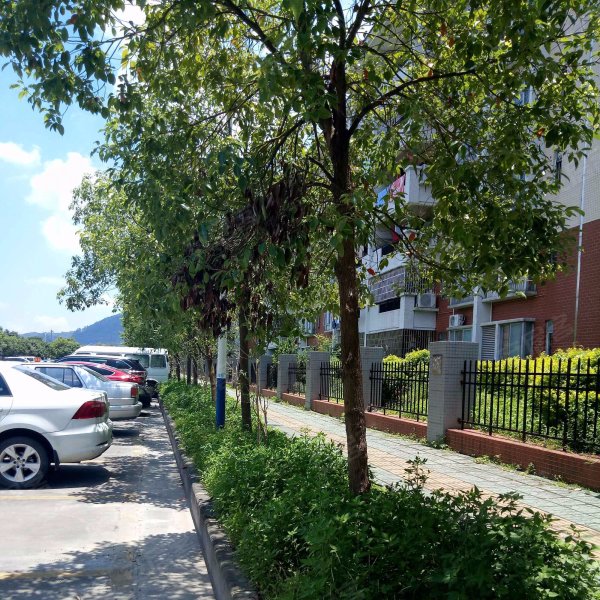 黄陂新村(西区),康荣路-广州黄陂新村(西区)二手房,租房,房价-广州