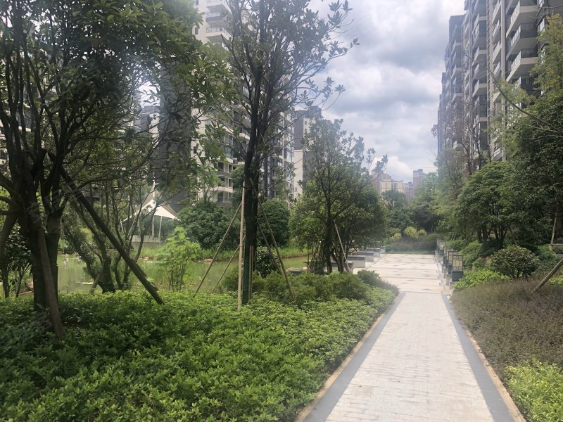 金时花园二期,刘塘路-怀化金时花园二期二手房,租房,房价-怀化安居客