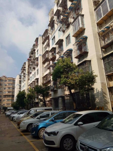 金桥花园南区,金桥路39号-昆明金桥花园南区二手房,租房,房价-昆明