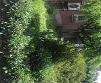 金榜世家(一至三期) 