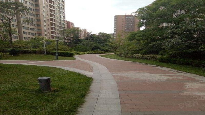 天地源枫林意树