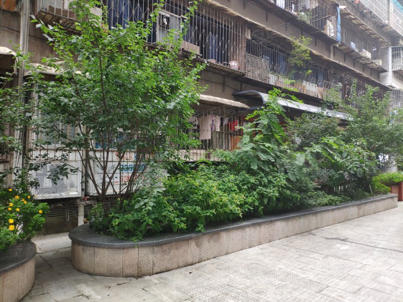 翠屏巷41-48号医药公司宿舍,翠屏巷41-48号-贵阳翠屏巷41-48号医药