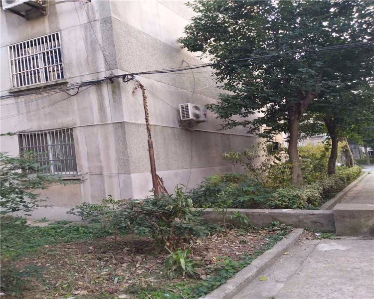 花园新村,怀德中路63号