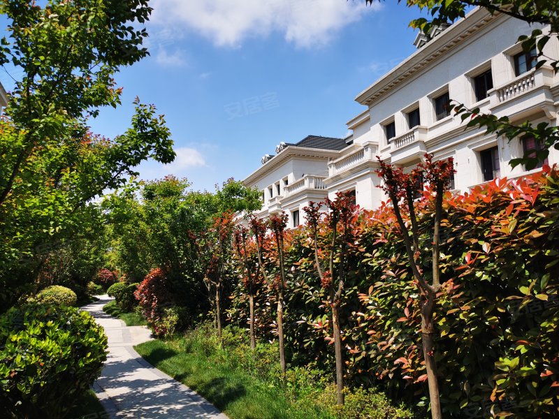 浦开世纪珑墅,罗山路1739弄-上海浦开世纪珑墅二手房,租房,房价-上海