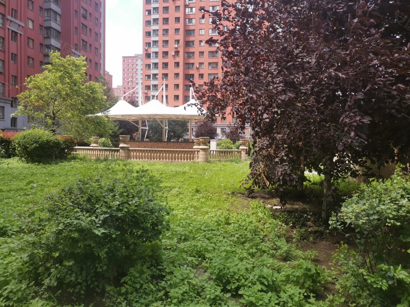 格兰云天,进乡街120号-哈尔滨格兰云天二手房,租房,房价-哈尔滨安居客