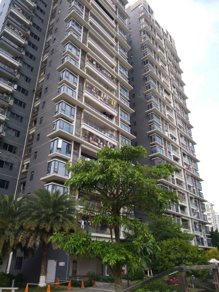 金沙湾豪璟园,军民路8号-湛江金沙湾豪璟园二手房,租房,房价-湛江安居