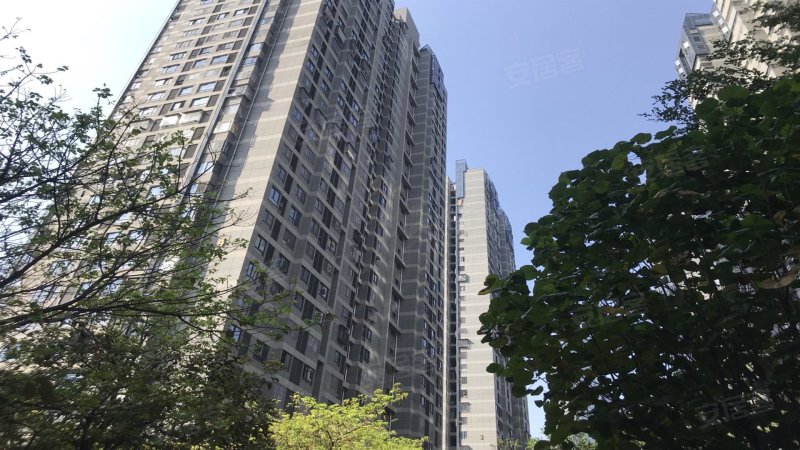 世欧王庄十一区