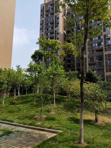 枫桦苇岸(一期),沌口路457号-武汉枫桦苇岸(一期)二手房,租房,房价