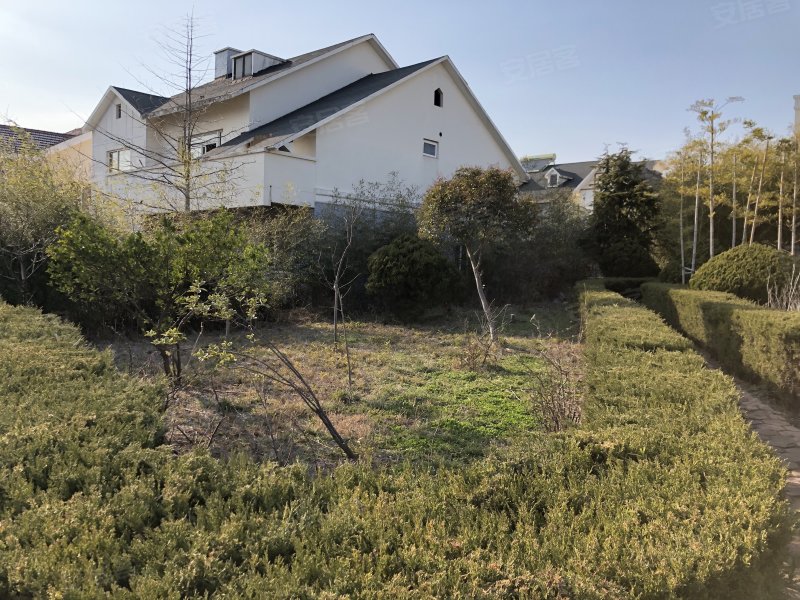 金海岸花园(别墅),北海路,近山海路-日照金海岸花园(别墅)二手房,租房