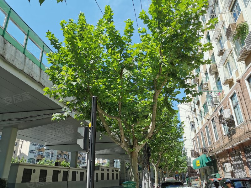 中山北一路240-244号小区