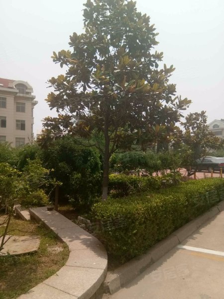 金泰花园,香港东路146号-青岛金泰花园二手房,租房,房价-青岛安居客