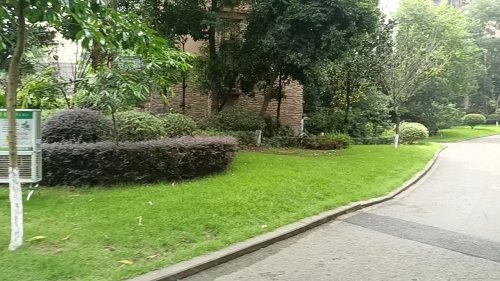 绿苑香山美树,酒城大道二段8号 - 泸州绿苑香山美树二手房,租房,房价