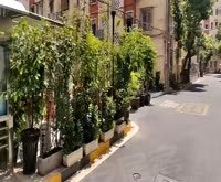 思凡花苑三街坊 