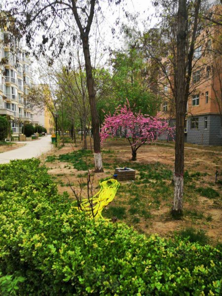 温莎花园,民族北街50号-银川温莎花园二手房,租房,房价-银川安居客