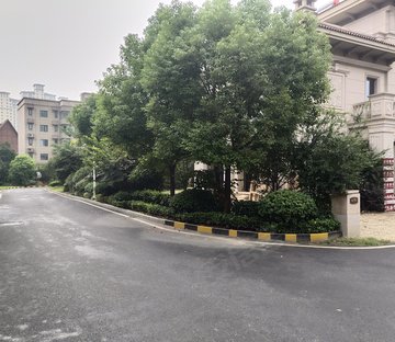 碧桂园芳邻(别墅)