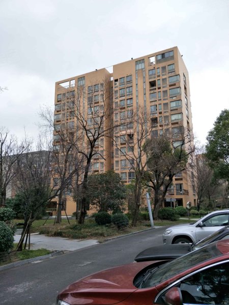 浦江华侨城(三期) 