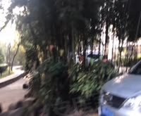 南洋瑞都剑桥府邸(公寓住宅) 