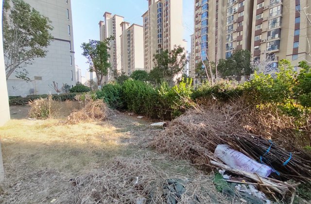 碧桂园天玺湾一期3室2厅123㎡84万二手房图片