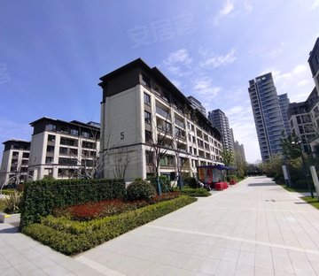 琴湖小镇琴臻雅苑叠加别墅,开发商装修未住,房东包增值睡