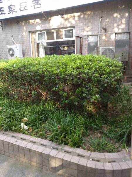 云莲路325,327号小区 