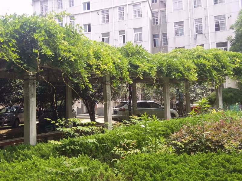 佳兴园小区,繁华大道147号-合肥佳兴园小区二手房,租房,房价-合肥安居