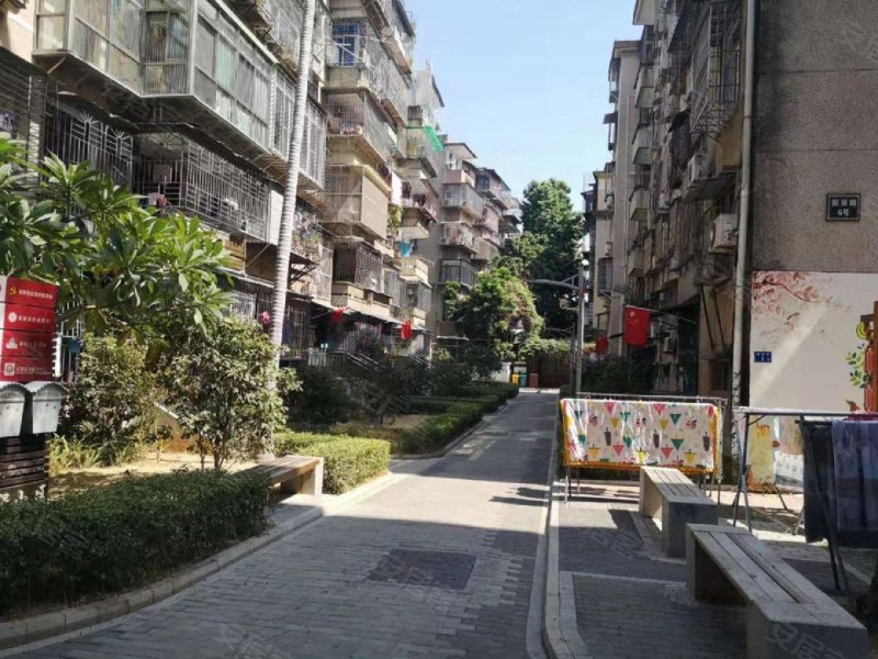 厦门图强路小区图片