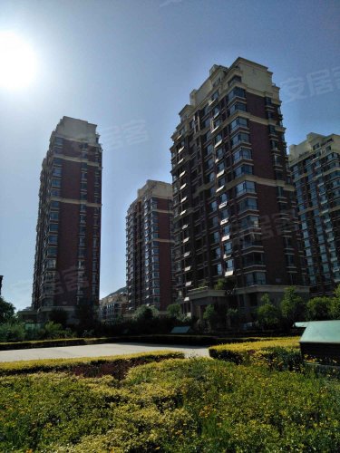 鹤伴豪庭,醴泉五路 - 邹平鹤伴豪庭二手房,租房,房价-邹平安居客