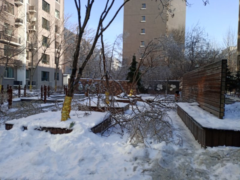 怡景名苑,金川街-长春怡景名苑二手房,租房,房价-长春安居客